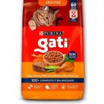 gati