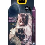 global cat lavanda 2