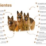 19P321-19P322-768x463