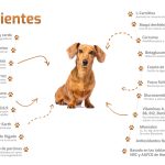 Ingredientes-Bokato-Petit-scaled-min