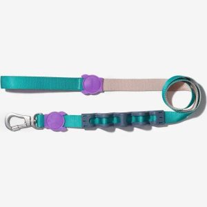 Correa zeedog boogie antitiron small 2x120cm