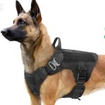 10913932-effe-4eb6-8c35-ea766d5dfa3e (1)