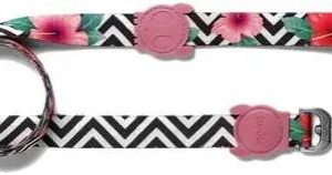 Correa zeedog mahalo extra small1x120cm