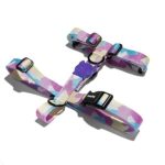 722ce600-4970-4ce6-8347-27606251e519