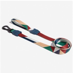 Correa zeedog pacco large 2.5x120cm