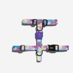 fe547259-bff1-4feb-bd24-642bf470a152