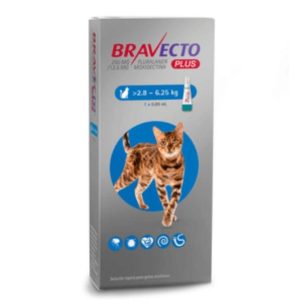 Bravecto plus gato 2,8 a 6,25 kg 12  semanas