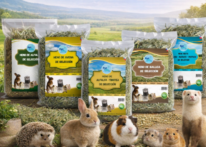 promos para pagina web pet bito (2)